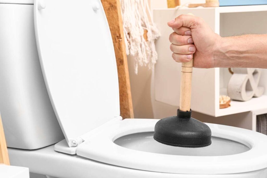 Disostruzione WC Pisa
