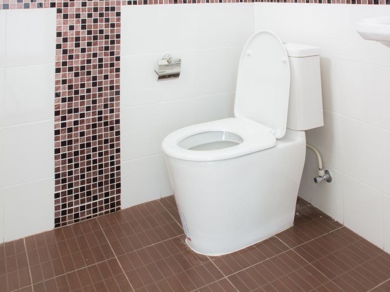 Assistenza Sanitrit Pisa
