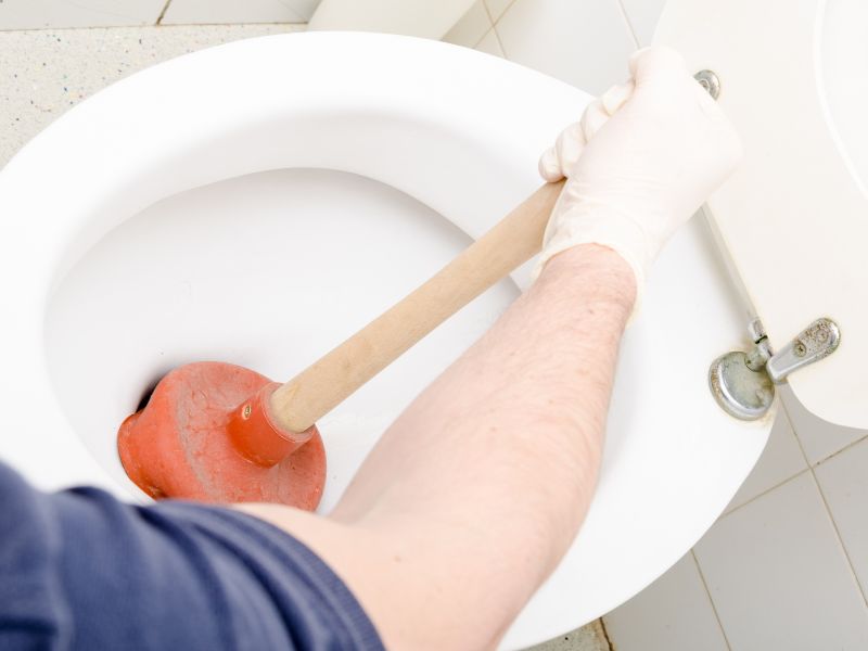 Disostruzione WC Pisa